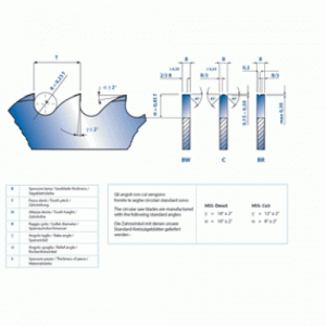 Tooth Specifications